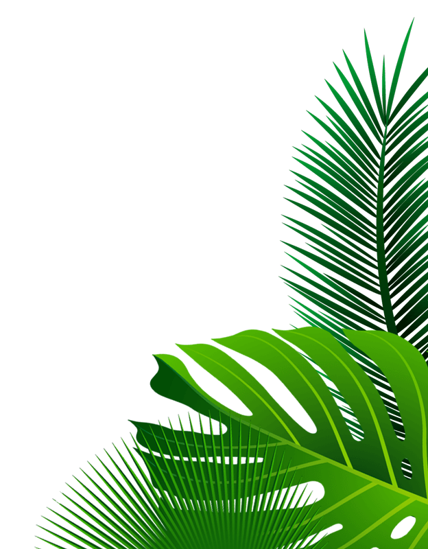 Shree Agro 