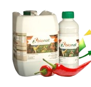 Shree Agro 