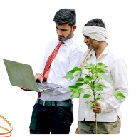 Shree Agro 