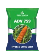 Shree Agro 
